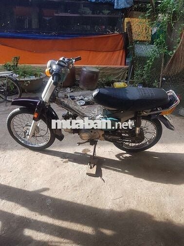 Xe cub đi ruộng