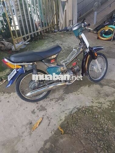 Xe cub đi ruộng
