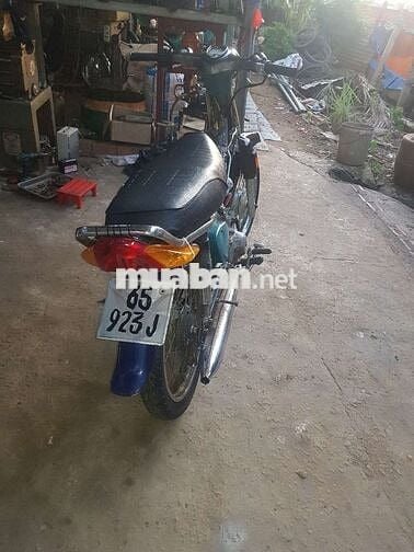 Xe cub đi ruộng