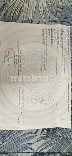 Chủ nhà Ngõ 121 Kim Ngưu bán nhà mặt Ngõ vừa ở và kinh doanh đa ngành