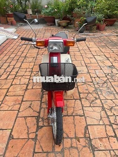 CUP 70 DM full new