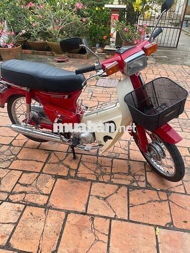 CUP 70 DM full new