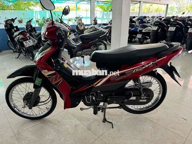 elegant 50cc odo:1500km