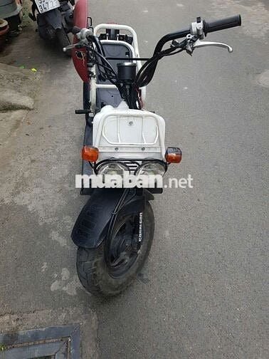 Bán xe Zommer 50cc Fi nội địa Nhật anh em về dọn