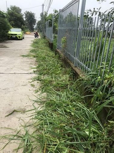 Đất thổ cư Nhà vườn xã Phú Hữu, Nhơn Trạch