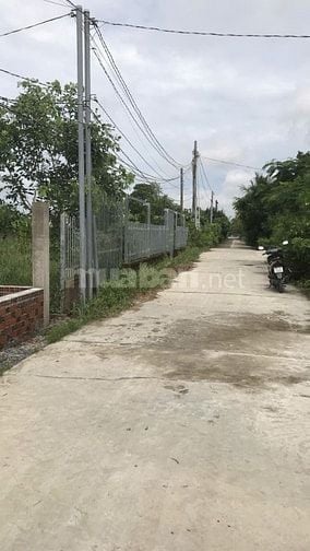 Đất thổ cư Nhà vườn xã Phú Hữu, Nhơn Trạch