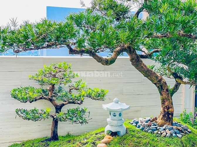 Bán Penthouse tại The Vista An Phú tháp T3 view sông 4 phòng ngủ 450m2