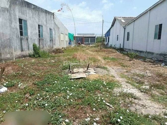 🏞️ CHÍNH CHỦ BÁN ĐẤT ĐẸP GẦN TRUNG TÂM TP. TÂN AN – 90M² – GIÁ CHỈ TỪ