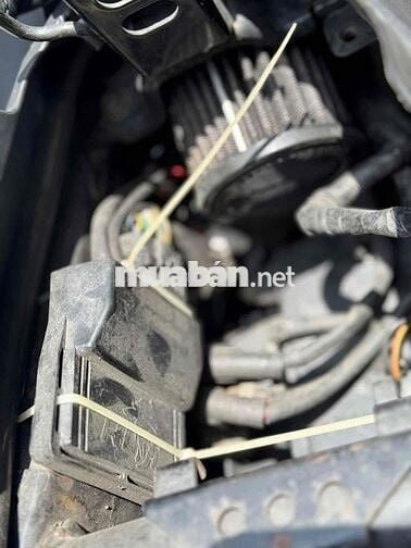 Winner V1 PXL BS 64 GTHL Bao tranh chấp