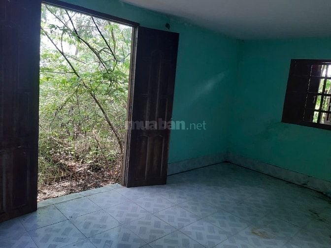 Bán Gấp 908,3m2 Đất Mặt tiền HL12, Cách chợ Cộng Lạc 500m, TX Gò Công