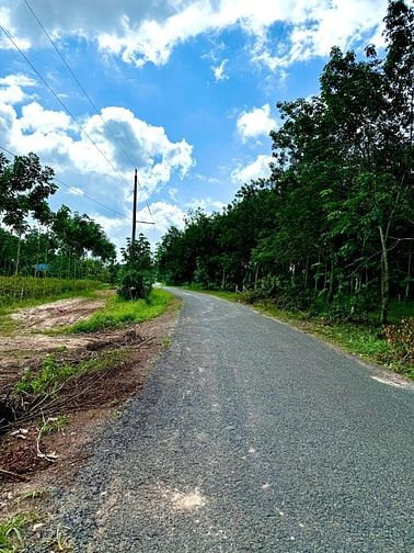 2 LÔ LIỀN KỀ 5X75 - ĐẤT TP. HCM CÁCH ĐƯỜNG TỈNH LỘ HƠN 1KM