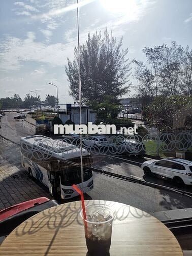 Exciter kiểng, máy chất đua bơi dành cho dân chơi