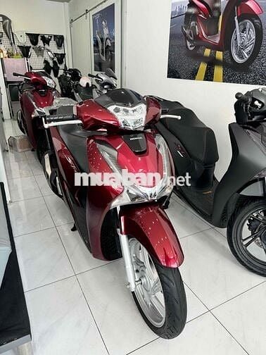 🇻🇳Sh150 cbs bs thành phố full zin