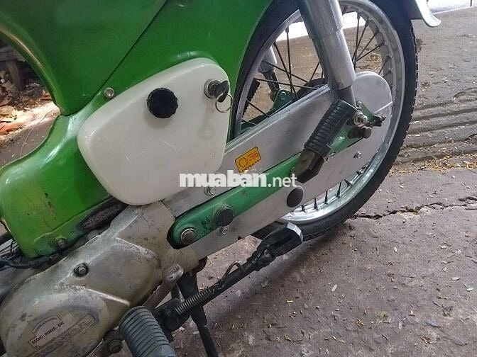 Honda dame