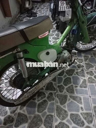 Honda dame