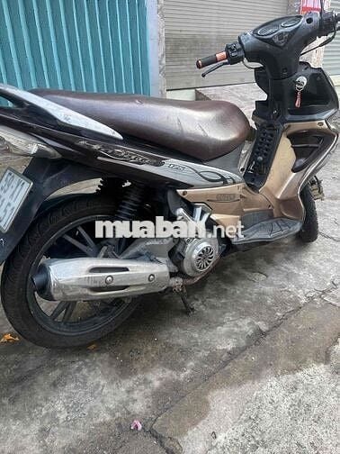Hayzater xe đẹp máy rin