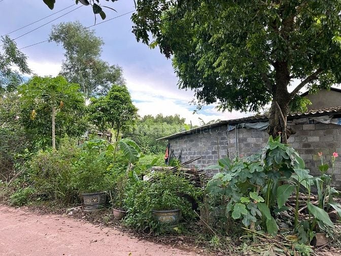 Xã Phúc Trìu - Thái Nguyên, dt 271,4m2 full thổ cư mặt tiền 4,5m.