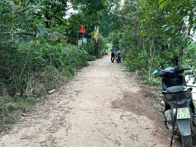 Xã Phúc Trìu - Thái Nguyên, dt 271,4m2 full thổ cư mặt tiền 4,5m.