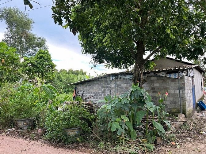 Xã Phúc Trìu - Thái Nguyên, dt 271,4m2 full thổ cư mặt tiền 4,5m.