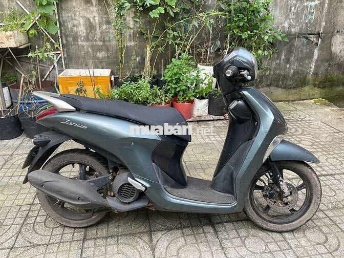 Cần Bán Xe Yamaha Janus 2017 - 125CC Xanh Bạc