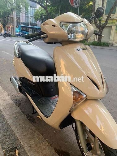 Xe Honda Lead 110cc màu ve tường