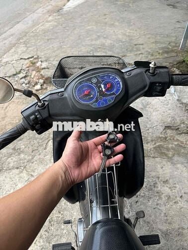 Ya Si Fi /2018 Zin Cọp / Ngay Chủ 65
