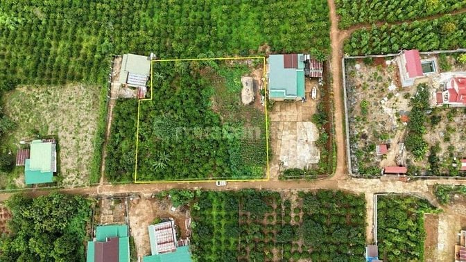 ngay nút giao cao Tốc Tân Châu, Đáng Đầu Tư