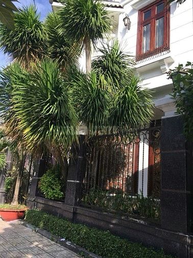 Cho thuê Biệt thự ĐĐTNghi 2MT Lê Thúc Hoạch,P.P.T.Hòa,Q.T.Phú giá 70tr