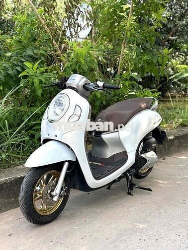 Cần Bán : Scoopy 9 chủ Biển Số Đẹp