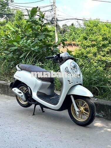 Cần Bán : Scoopy 9 chủ Biển Số Đẹp