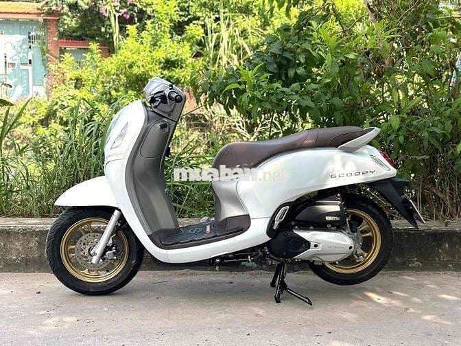 Cần Bán : Scoopy 9 chủ Biển Số Đẹp