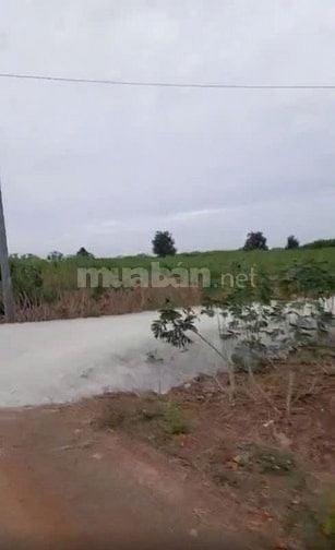 Bán đất 7390 m2 Chính Chủ - Xã Láng Dài -Bà Rịa Vũng Tàu