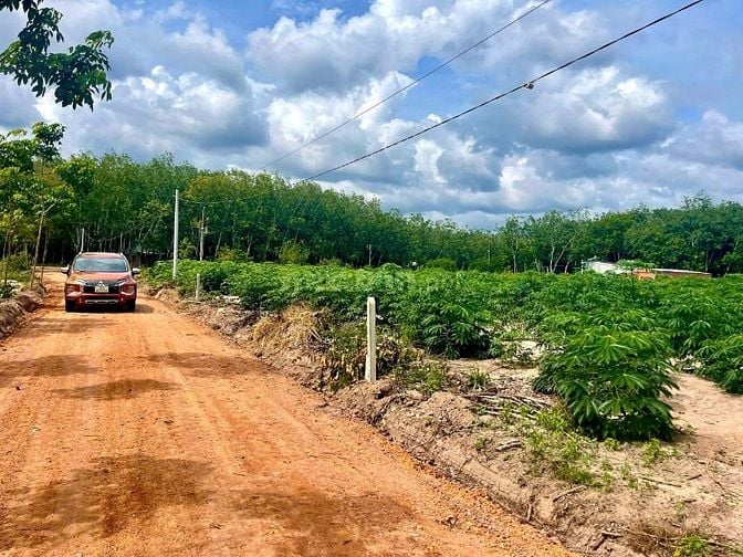SỞ HỮU ĐẤT XÀO-ĐÓN ĐẦU NGỌN SÓNG TĂNG TRƯỞNG