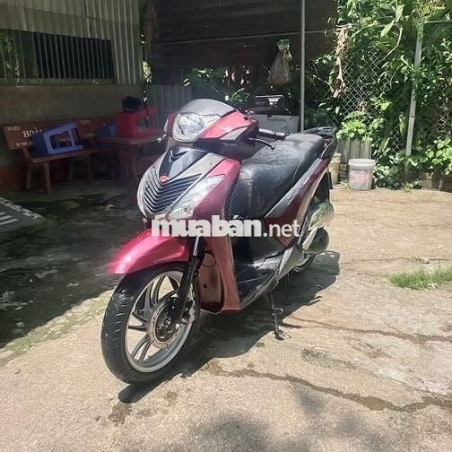 Honda úp sh