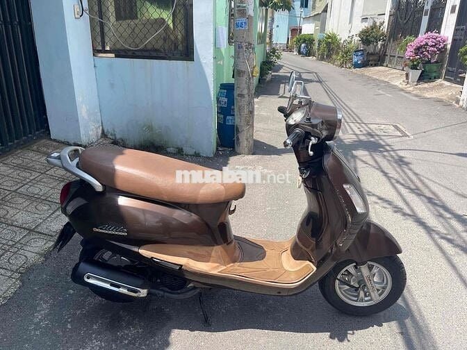 Bán sym Elizabeth biển thành phố, chính chủ