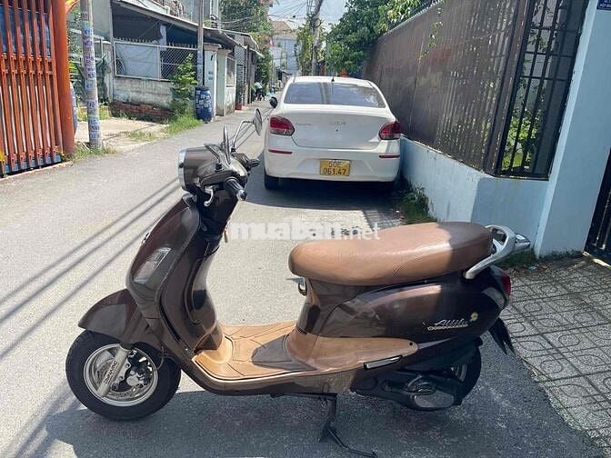 Bán sym Elizabeth biển thành phố, chính chủ