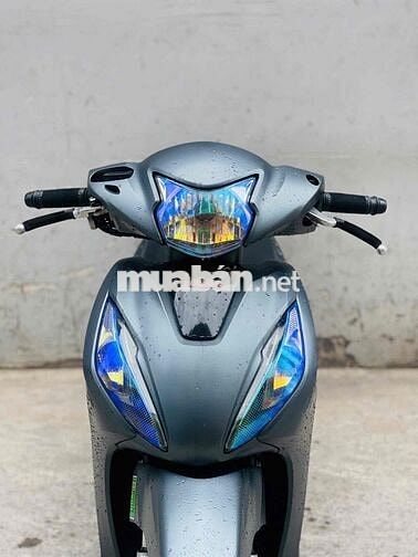 vision biển tp bánh lớn