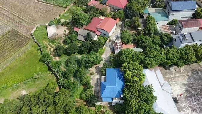 Bán nhà vườn gần sân bay nội bài hà nội