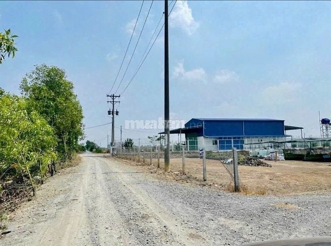 Đất vườn 2000m²=(20×100)m, sổ sẵn, tl 818 vào 500m,xe hơi trước đất.