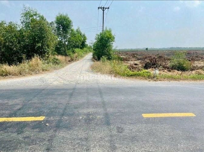 Đất vườn 2000m²=(20×100)m, sổ sẵn, tl 818 vào 500m,xe hơi trước đất.