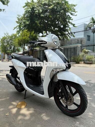 Yamaha Janus 2018 B.số 43 Góp trả trước 3tr5