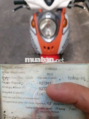 Mio Clasico Thái cày bừa