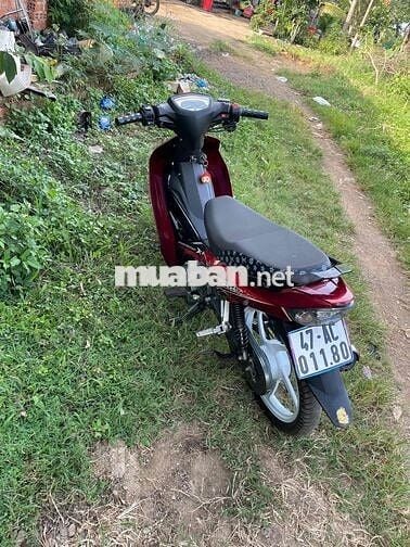 si 50 full kiểng không 1 vết xước