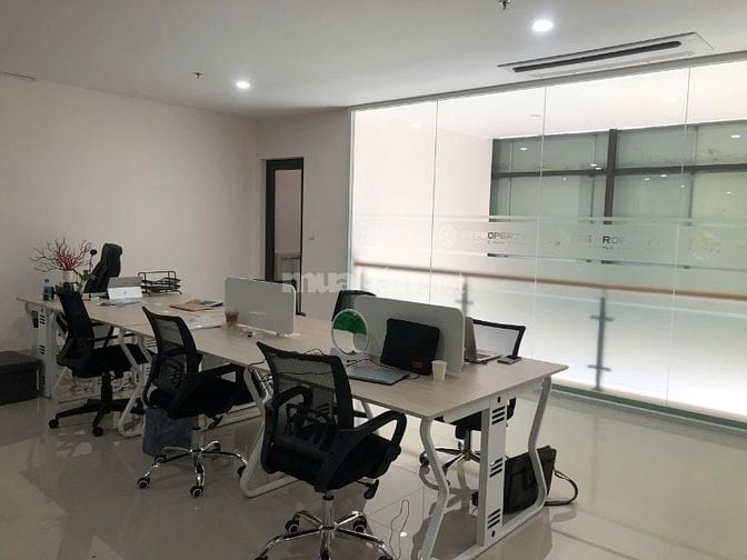 SG Property Tuyển Nhân Viên Kinh Doanh BĐS Tại Vũng Tàu