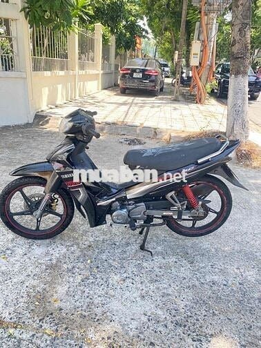 Si 50 cc cho học sinh sinh viên người chưa có bằng