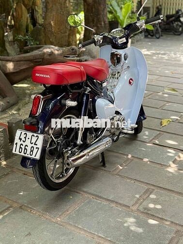 cud 125 dk 2023