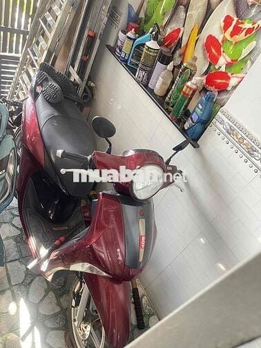 CẦN BÁN XE yamaha Janus ĐỂ MUA XE 50cc con đi học