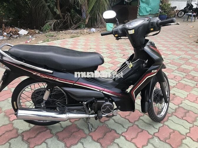 SYM Elegant 50 dành cho học sinh