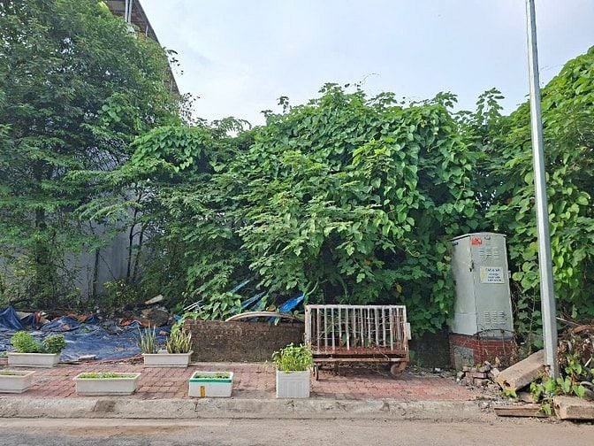 Bán lô đất dịch vụ Phú Vinh An Khánh mặt tiền >4m