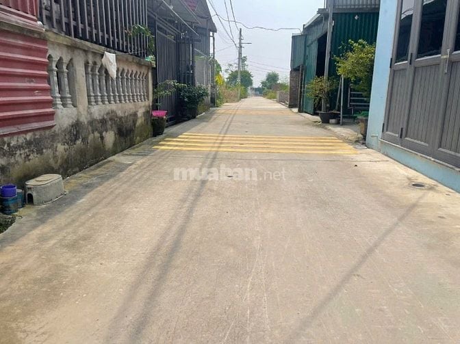 chính chủ cần bán 50m thổ cư tại tổ 9 quang minh sát với kcn và kdt